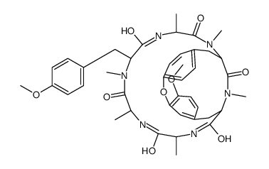 RA-VII Structure