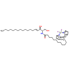 BODIPY-C12 Ceramide (d18:1/12:0) structure