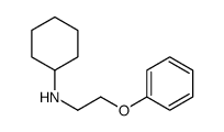 N-(2-Phenoxyethyl)cyclohexanamine Structure