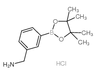 3-(氨甲基)苯硼酸频哪醇酯盐酸盐图片