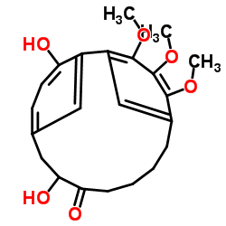 porson Structure