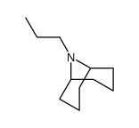 9-propyl-9-azabicyclo[3.3.1]nonane Structure