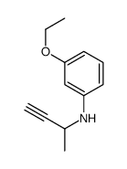 N-but-3-yn-2-yl-3-ethoxyaniline Structure