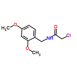 2-Chloro-N-(2,4-dimethoxybenzyl)acetamide picture