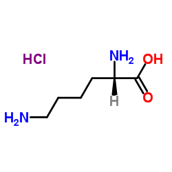 L-Lysine hydrochloride Structure