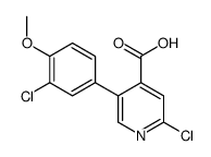 1261995-74-7 structure