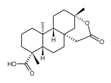 isosteviol lactone Structure