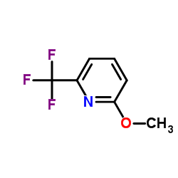 2-Methoxy-6-(trifluoromethyl)pyridine structure