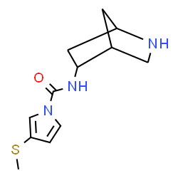 1H-Pyrrole-1-carboxamide,N-2-azabicyclo[2.2.1]hept-5-yl-3-(methylthio)-(9CI) picture