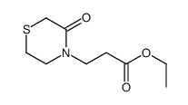 ethyl 3-(3-oxothiomorpholin-4-yl)propanoate Structure