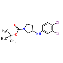 2-Methyl-2-propanyl 3-[(3,4-dichlorophenyl)amino]-1-pyrrolidinecarboxylate Structure