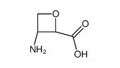 (2R,3S)-3-aminooxetane-2-carboxylic acid Structure