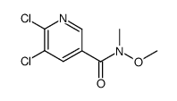 5,6-二氯-N-甲氧基-N-甲基吡啶-3-甲酰胺结构式