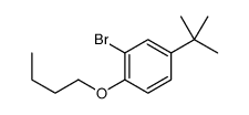 2-bromo-1-butoxy-4-tert-butylbenzene Structure