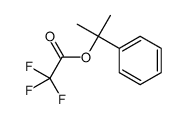 2-phenylpropan-2-yl 2,2,2-trifluoroacetate Structure