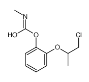 79637-88-0 structure