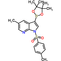 1036028-17-7 structure