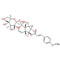 121710-02-9 structure