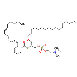 arachidonoyl thio-pc图片