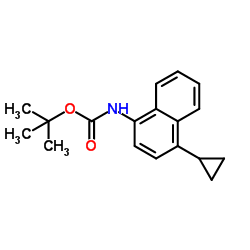 2-Methyl-2-propanyl (4-cyclopropyl-1-naphthyl)carbamate结构式