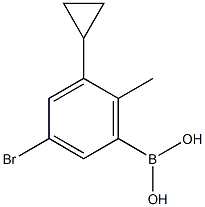 3-Bromo-5-cyclopropyl-6-methylphenylboronic acid picture