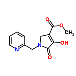 Methyl 4-hydroxy-5-oxo-1-(2-pyridinylmethyl)-2,5-dihydro-1H-pyrrole-3-carboxylate picture