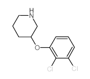 3-(2,3-Dichlorophenoxy)piperidine Structure