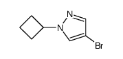 4-bromo-1-cyclobutyl-1H-pyrazole picture