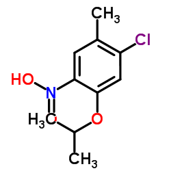 1-Chloro-5-isopropoxy-2-methyl-4-nitrobenzene Structure