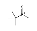 tert-butyl-methyl-sulfanylidenephosphanium Structure