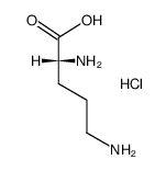 D-ornithine-L-ornithine hydrochloride (1:1:2)结构式