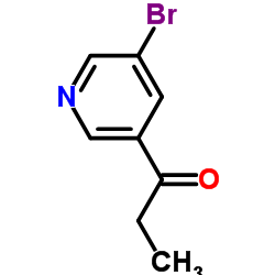 1-(5-Bromo-3-pyridinyl)-1-propanone picture