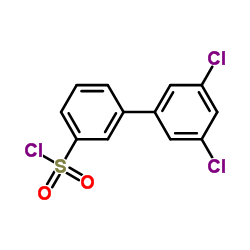 [3-(3,5-DICHLOROPHENYL)PHENYL]SULFONYL CHLORIDE图片