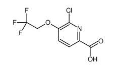 6-chloro-5-(2,2,2-trifluoroethoxy)picolinic acid Structure