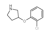 3-(2-氯苯氧基)吡咯烷结构式