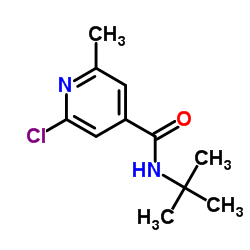 N-(Tert-Butyl)-2-Chloro-6-Methylisonicotinamide picture