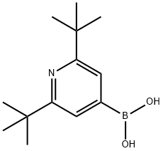 2,6-bis(tert-butyl)pyridine-4-boronic acid picture