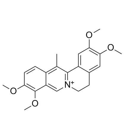 Dehydrocorydalin Structure