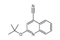 Cinchoninonitrile,2-tert-butoxy- (4CI) structure