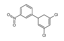 1,3-dichloro-5-(3-nitro-phenyl)-cyclohexa-1,3-diene Structure