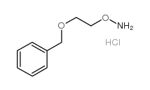 O-(2-phenylmethoxyethyl)hydroxylamine,hydrochloride Structure