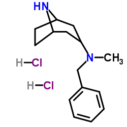 N-Benzyl-N-methyl-8-azabicyclo[3.2.1]octan-3-amine dihydrochloride结构式