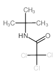 Acetamide,2,2,2-trichloro-N-(1,1-dimethylethyl)- structure