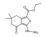 3-肼基-6,6-二甲基-4-氧代-4,5,6,7-四氢苯并[c]噻吩-1-羧酸乙酯结构式