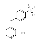 4-(4-吡啶氧基)苯磺酰氯盐酸盐结构式