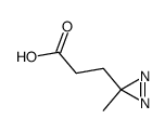 25055-86-1 structure