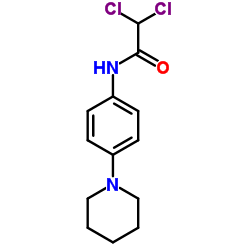 2,2-dichloro-N-(4-piperidinophenyl)acetamide picture