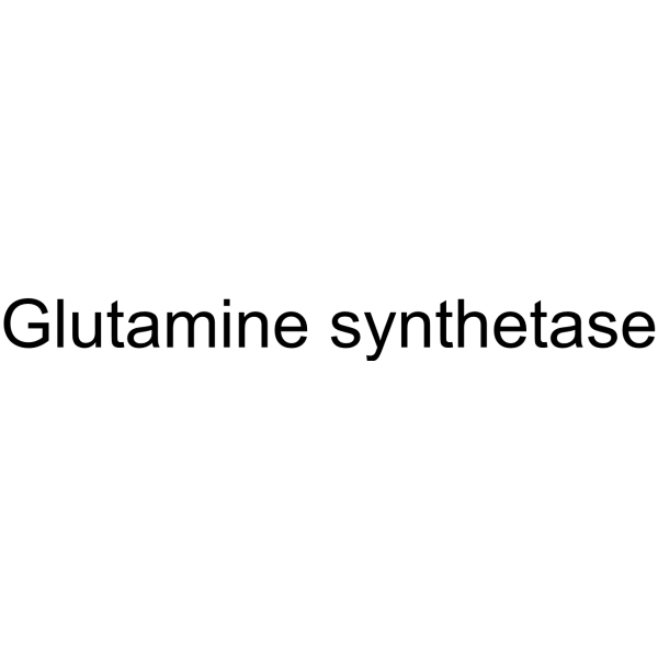 Glutamine synthetase structure