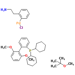 Chloro(2-dicyclohexylphosphino-2',6'-dimethoxy-1,1'-biphenyl)[2-(2-aminoethylphenyl)]palladium(II) picture