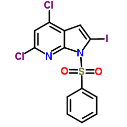 1-(Phenylsulfonyl)-4,6-dichloro-2-iodo-7-azaindole structure